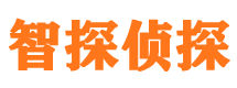 鹤城外遇出轨调查取证